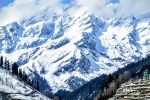 pexels-karan-ashok-1697986-11538476-1